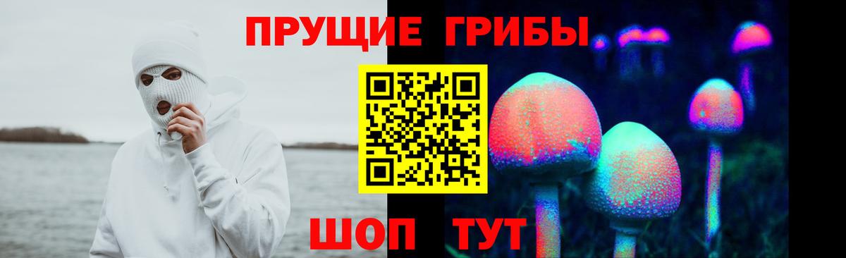 Крымск  Псилоцибиновые грибы GOLDEN TEACHER  Вход с VPN  Галлюциногенные грибы прущие грибы 
